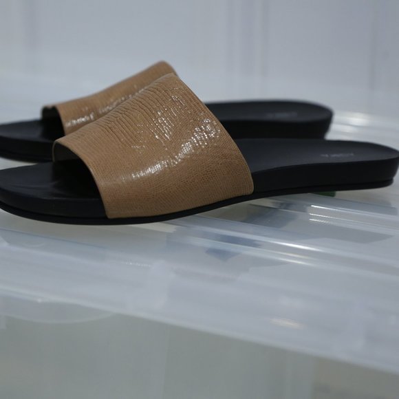 Aska Collection Camel Lizard Ellery Slides - Picture 10 of 11